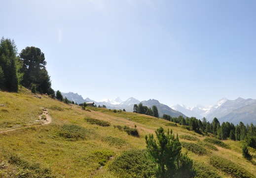 sierre-Zinal 2025 ©André Hermann00083