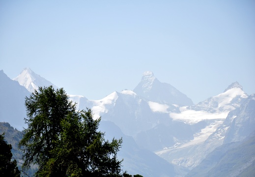 sierre-Zinal 2025 ©André Hermann00085