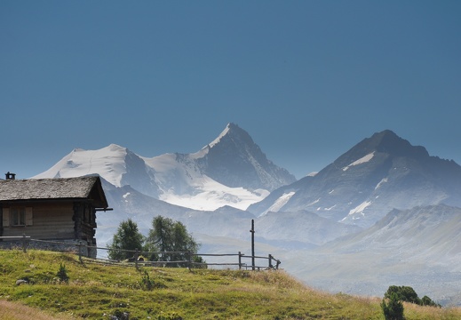 sierre-Zinal 2025 ©André Hermann00086