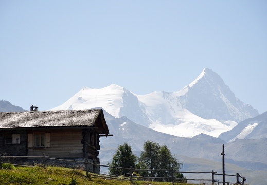sierre-Zinal 2025 ©André Hermann00087