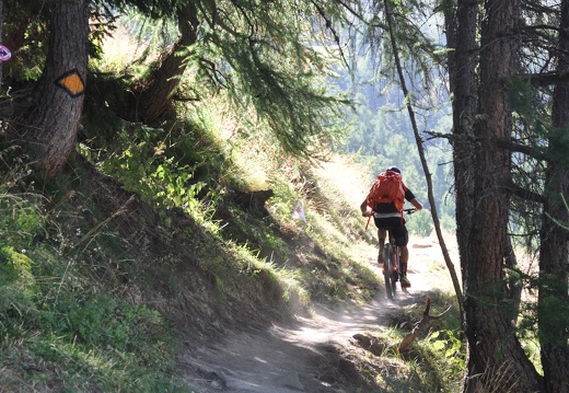sierre-Zinal 2025 ©André Hermann00077