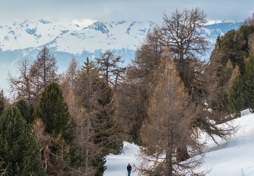 Hivernale2025 Photosport 00153