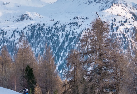 Hivernale2025 Photosport 00156
