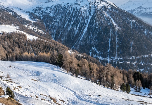 Hivernale2025 Photosport 00158