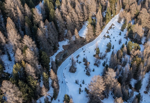 Hivernale2025 Photosport 00159