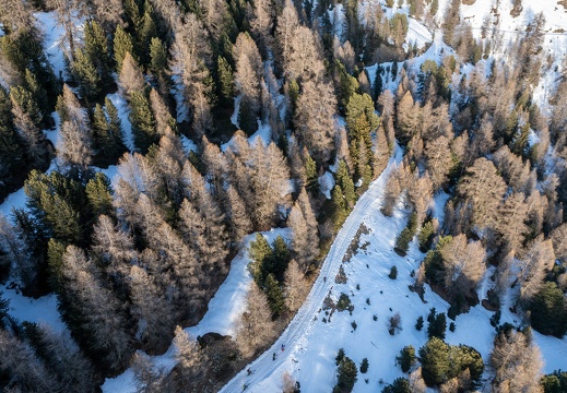 Hivernale2025 Photosport 00160