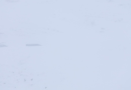 SIERRE-ZINAL L'HIVERNALE 2026