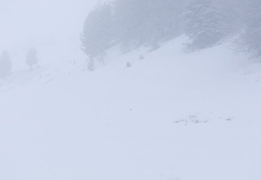 SIERRE-ZINAL L'HIVERNALE 2026